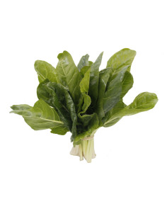 Acelga verde